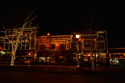 DSC_5874 (Large).JPG